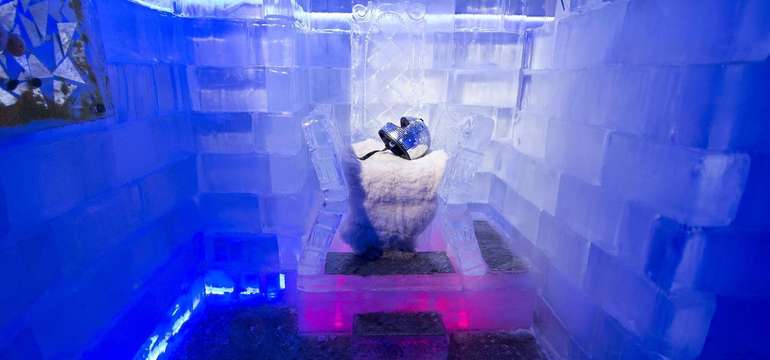 Vstup a drinky v ICE BAR v centre bratislavského Starého Mesta