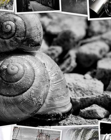Koláž na plátne z vlastných fotografií - veľa rozmerov na výber