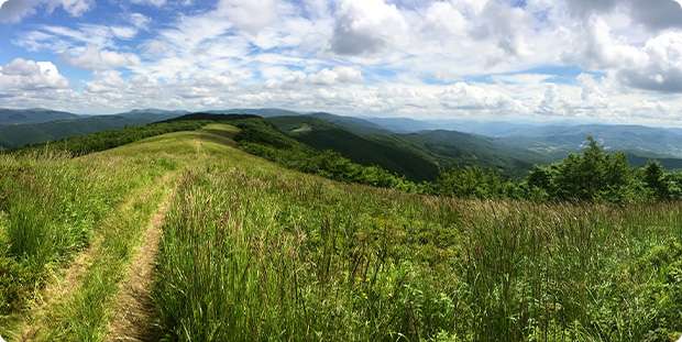 Národný park Poloniny