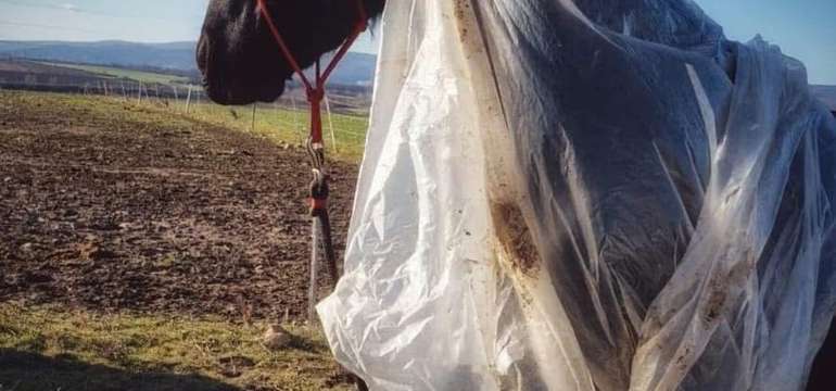 Prechádzka či jazda na koni s inštruktorom aj krúžok pre deti