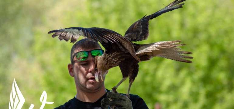 Sokoliareň a minizoo Devín