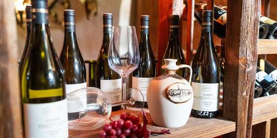 Zážitkový pobyt na nejstarším českém hradě Vildštejn se 4-chodovou degustační večeří, prohlídkami a slevami do hradní hodovny i vinárny/Karlovarský kraj - Skalná