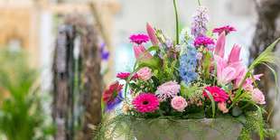 Vstupenka na výstavu Flóra Bratislava 2022 | Jarné trhy