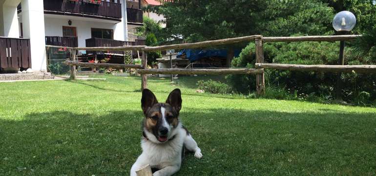 V záhrade sa nachádza altánok s grilom, kde si môžu naši hostia kedykoľvek grilovať