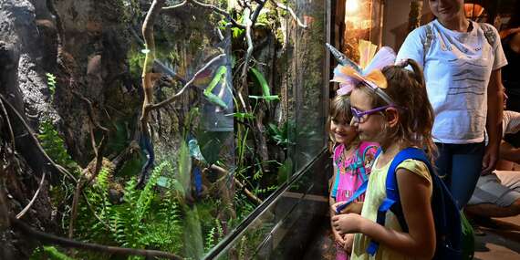 Tropical World - prvá kontaktná ZOO s plazmi na Slovensku v nových väčších priestoroch/Zvolen - Sielnica