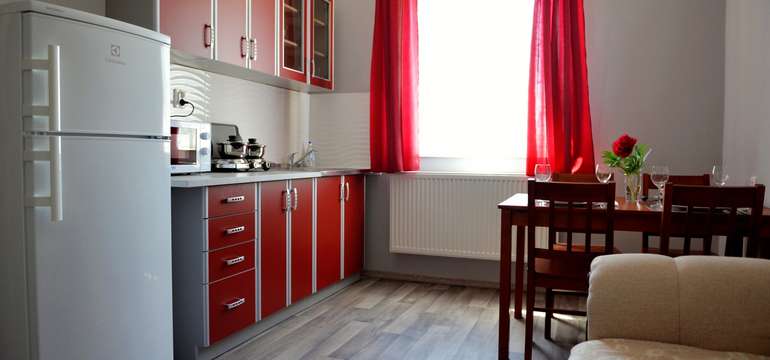 Apartmány Alice vo Veľkom Mederi - kuchyňa