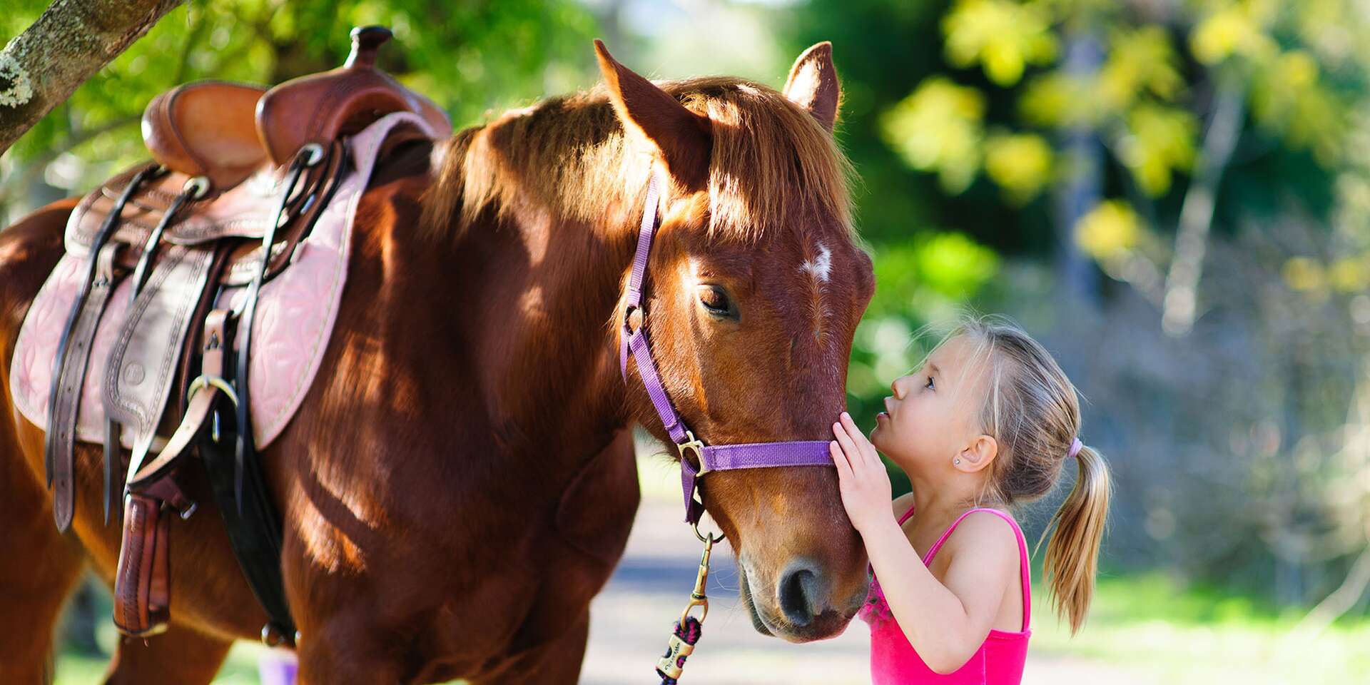Лошадь для детей. Маленькие дети на лошади. Прогулка на лошадке в зоопарке дети. Интересные факты о лошадях для детей.
