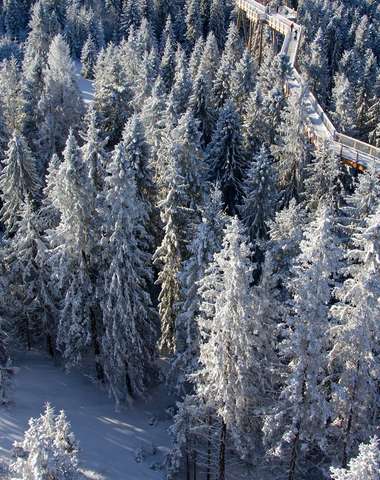 Len 8 minút autom od BACHLEDKA Ski & Sun