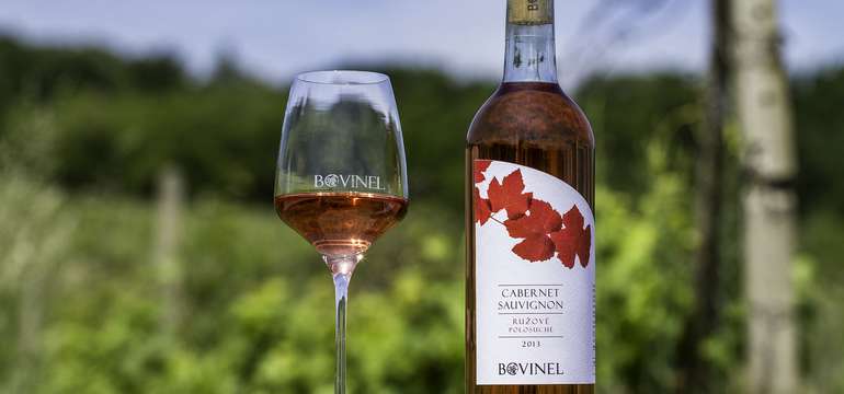 Degustácia vín v rodinnom vinárstve BOVINEL