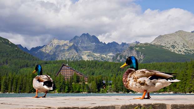 Turistika na Štrbskom plese