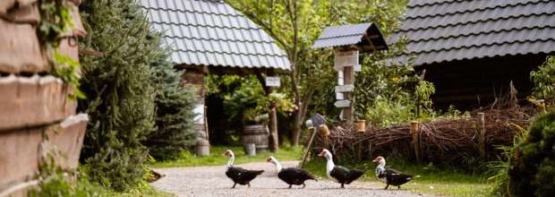 kam na vylet abeland lozorno bratislava