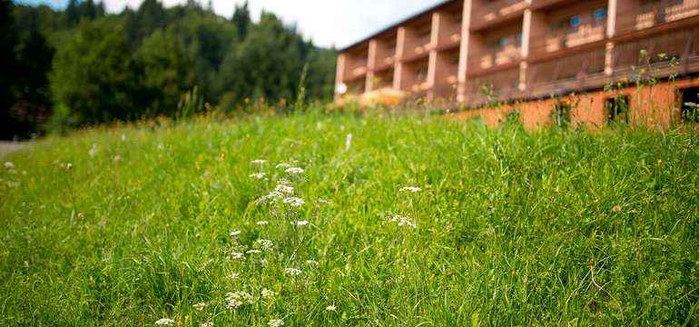 Horský Hotel Podjavorník leží v srdci chránenej prírodnej oblasti nad dedinou Papradno