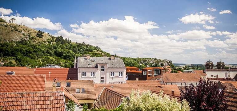 Okolí hotelu je nádherné, nenechte si ujít procházku vinicemi