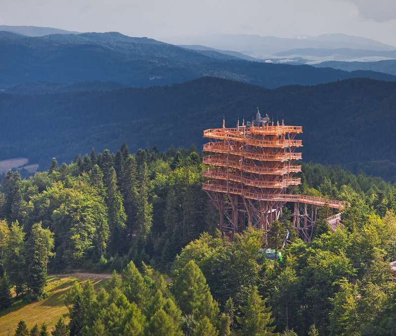 V Krynici sa môžete prejsť poľským chodníkom korunami stromov (30 min. autom od hotela)