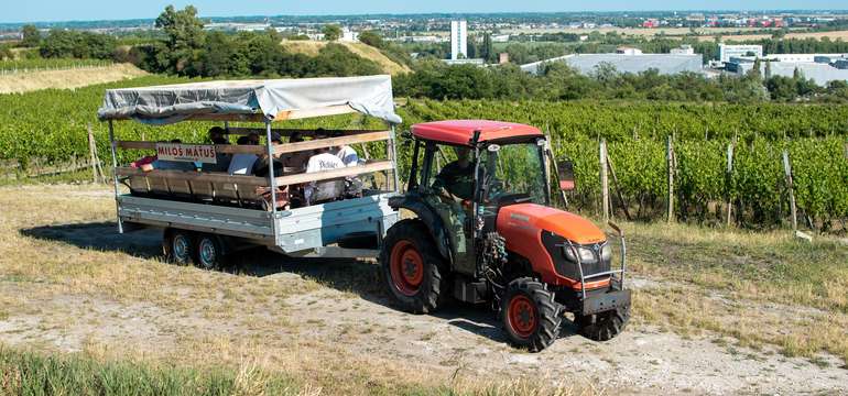 Vínovlečka - zážitková jazda vo vinohradoch s degustáciou vín
