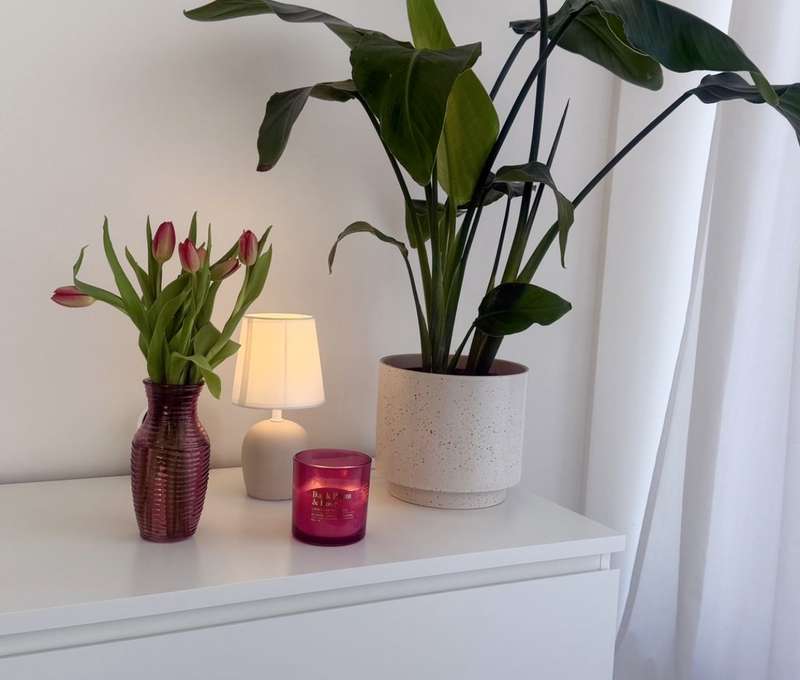 REFORME Beauty Clinic 