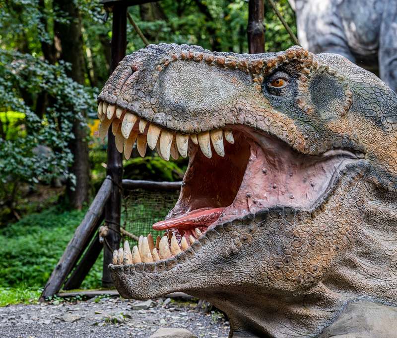 DinoPark ako súčasť Zoologickej záhrady Košice