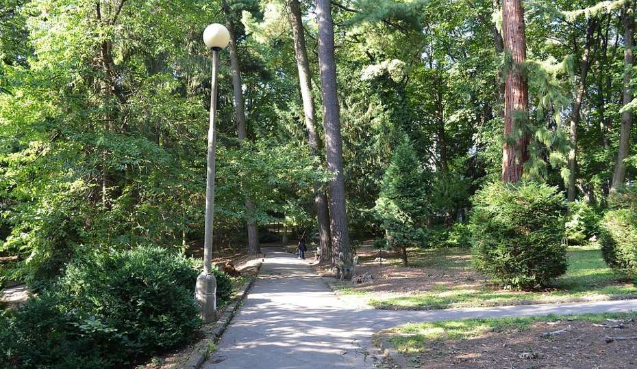 botanická záhrada, banská štiavnica, záhrada