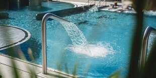 Kúpalisko Zelená žaba