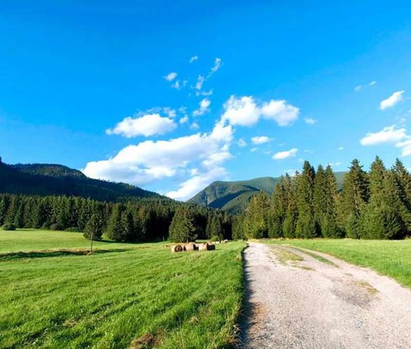 Okolie v blízkosti apartmánov