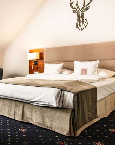 ParkHotel Łysoń & SPA**** je skvěle vybavené místo pro pobyt s dětmi