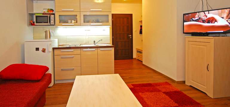 V apartmáne Bartek Ski Rental sa nachádza kuchynka 