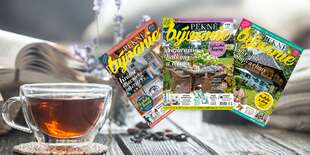 Mesačník Pekné bývanie na celý rok