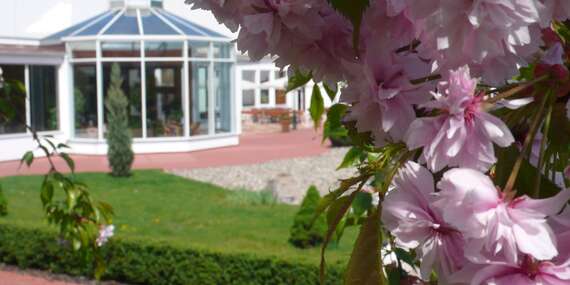 Obľúbený Top Hotel Praha**** s neobmedzeným wellness a unikátnou japonskou záhradou/Česko - Praha