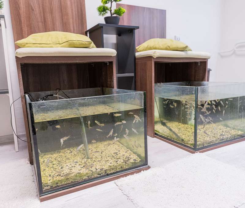  Salón Garra rufa v Košiciach
