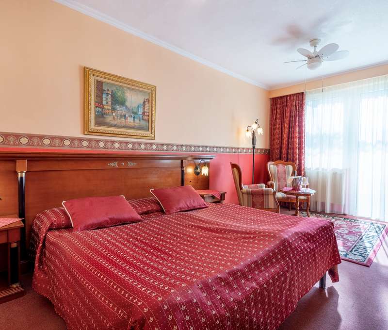 De-luxe izba s originálnymi obrazmi a elegantnými doplnkami (za príplatok)