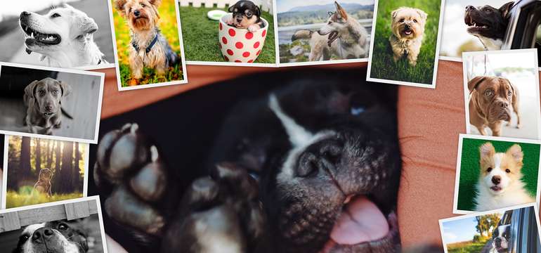 Koláž na plátne z vlastných fotografií - veľa rozmerov na výber
