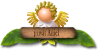 Aniel Privat