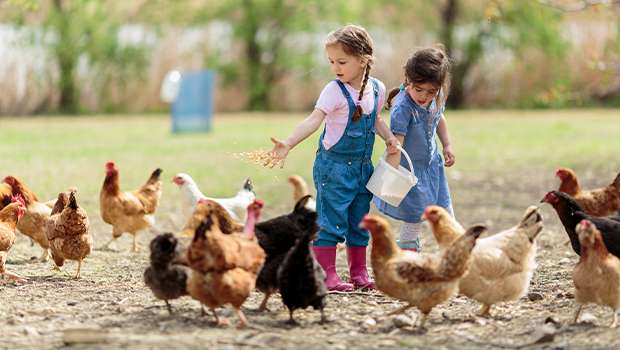 zazitkova farma - kde sa ubytovat