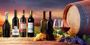 Exkluzívne vína s doručením zdarma
