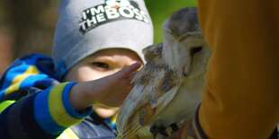 Vstupy do Sokoliarne a minizoo Devín pre deti aj dospelých