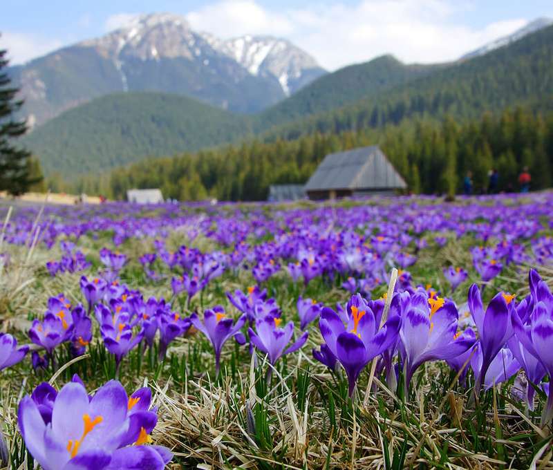 Tatry