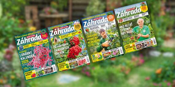 Ročné predplatné inšpiratívneho časopisu Záhrada / Slovensko