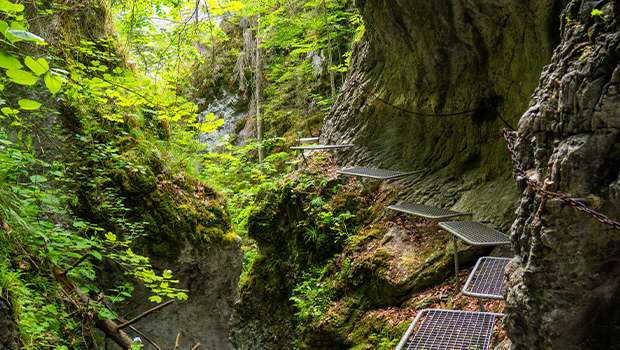 Národný park Slovenský raj (NPSR)