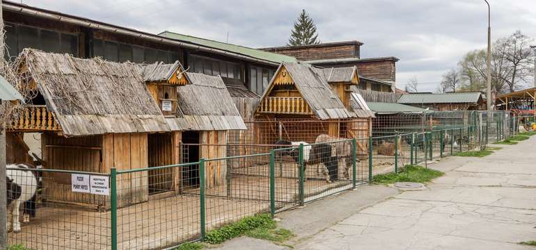 Ranč pri Žiline so svojimi zvieratkami
