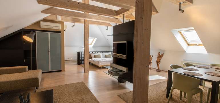 Hotel Villa Nečas****, ubytovanie  v apartmáne
