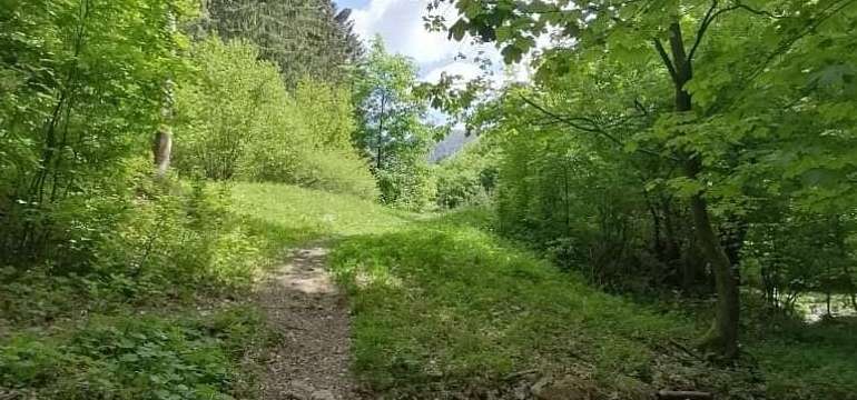 Čistá príroda v Rajeckej Lesnej