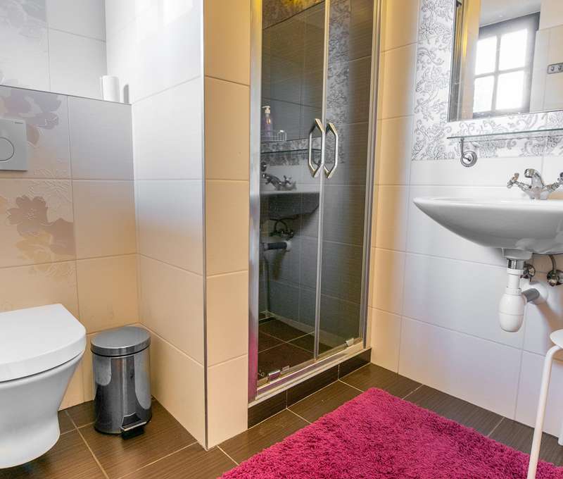 Kúpeľňa apartmánu Alpina so sprchovacím kútom a WC