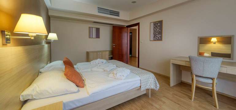 Wellness Hotel Patince****, Izba Standard