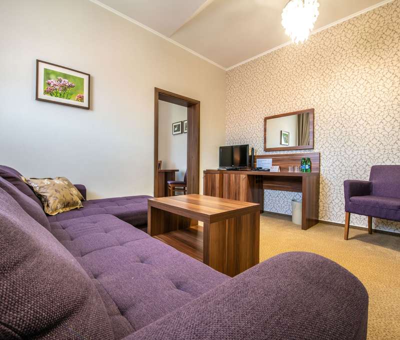 Senior suite  vo Wellness Hoteli Spark****