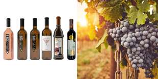 Balenie 6 ks vín VÍNO-MASARYK ® s.r.o.