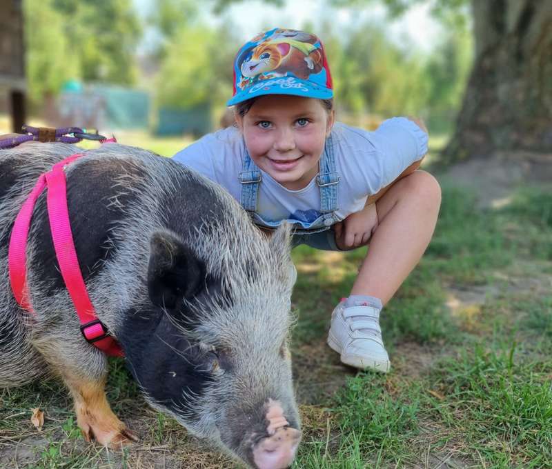 Sokoliareň a minizoo Devín