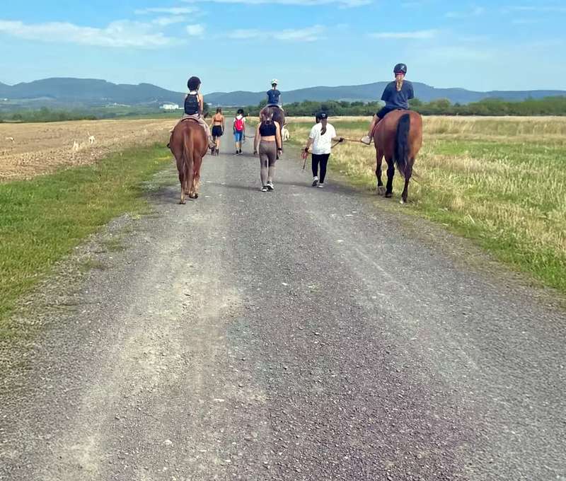 Prechádzka či jazda na koni s inštruktorom aj krúžok pre deti
