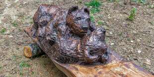 Okolie Domčeka na strome