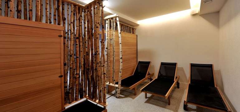 Vo wellness centre nájdete fínsku saunu, infrasaunu a relaxačnú miestnosť "Brezový háj"