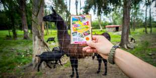 Kontakt so zvieratami v MINI ZOO 